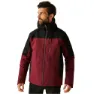 Dark maroon black