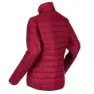 Regatta Wentwood Vi Jacke, Beetr