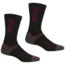 Regatta Wool Hiker Socken 2 Paare