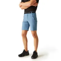 Regatta Xert Stretch Iii Kurze Hose Regatta Xert Stretch Iii Kurze Hose