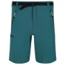 Pacific green