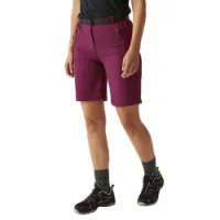Regatta Xert Stretch Light Kurze Hose Regatta Xert Stretch Light Kurze Hose