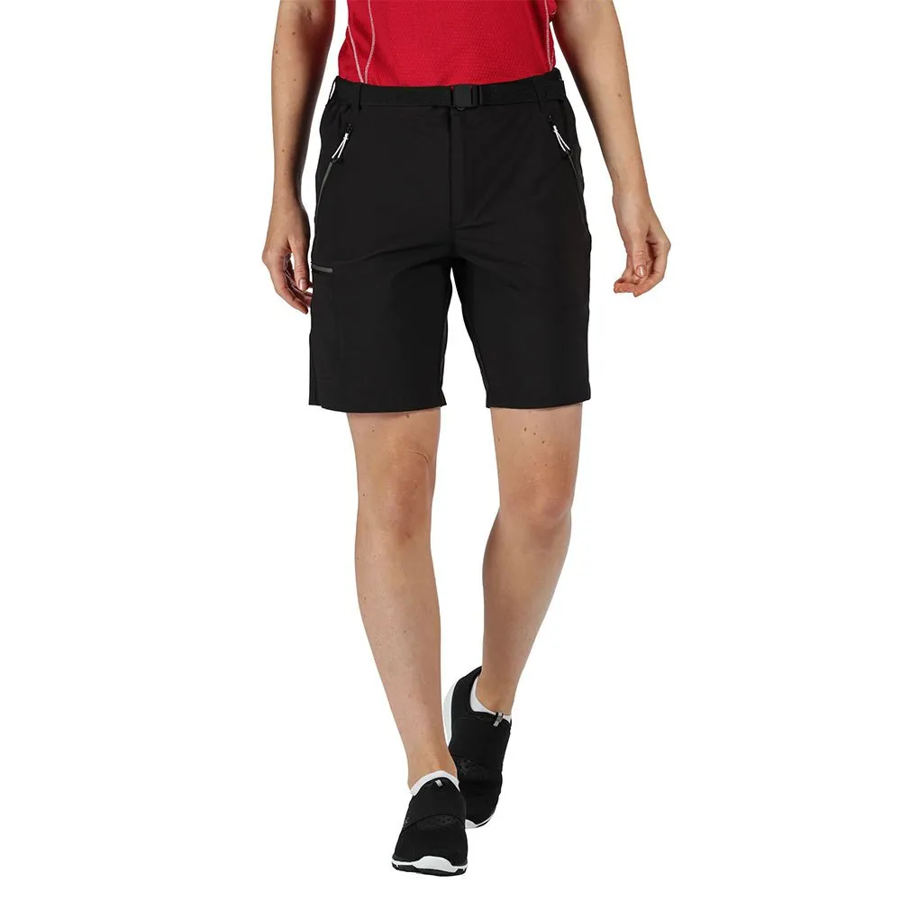Regatta Xert Stretch Short Iii Hosen Regatta Xert Stretch Short Iii Hosen