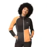 Black / apricot crush