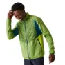 Piquant green / moroccan blue