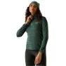 Spruce green