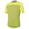 Acid lime / pear / army
