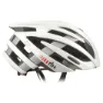 Shiny white / matt silver