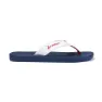 Blue / white / red