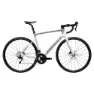 Pearl white / silver / black