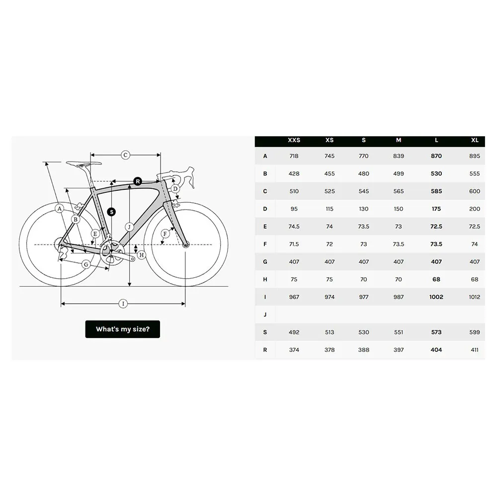Ridley Falcn Rival Etap 2025 Rennrad