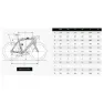 Ridley Falcn Rival Etap Axs 2025 Rennrad, Ud carbon / candy red metallic / silver