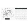 Ridley Falcn Rs Disc Ultegra Di2 2025 Rennrad