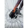 Ridley Kalazy Claris Mdb 2024 Gravelbike