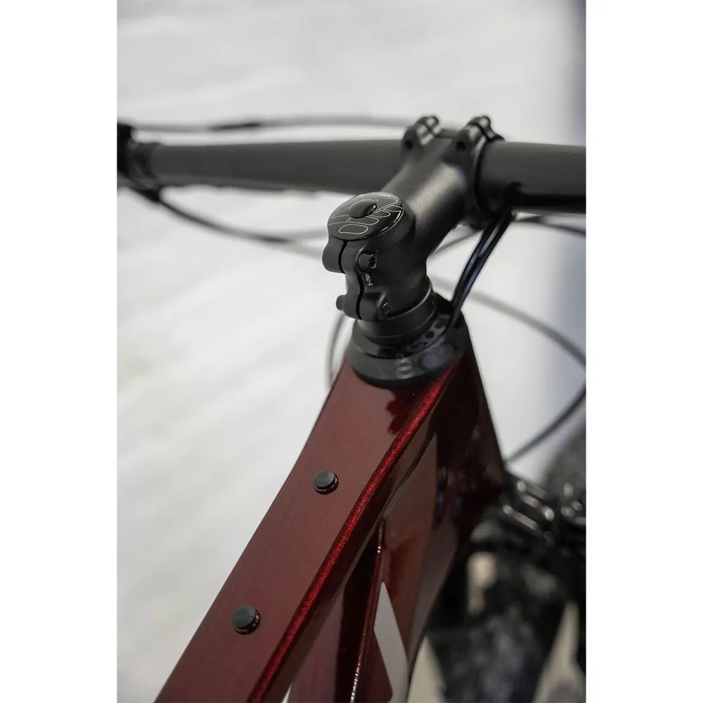 Ridley Raft Xc 29´´ Gx-x01 Eagle 2025 Mountainbike, Bourgogne red metallic / autumn grey / silver, L