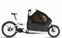 Riese & Müller Packster2 70 CT vario - Lastenrad Riese & Müller Packster2 70 CT vario - Lastenrad