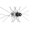 Ritchey Classic Zeta Disc Laufradsatz