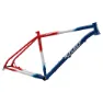 Ritchey P-29er Mtb-rahmen