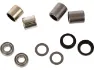 Ritchey Pedal Lager Kit für WCS Echelon / Pro Paradigm / WCS Paradigm, Silver, One Size