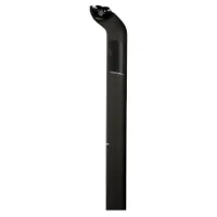 Ritchey Pro Carbon Sattelstütze