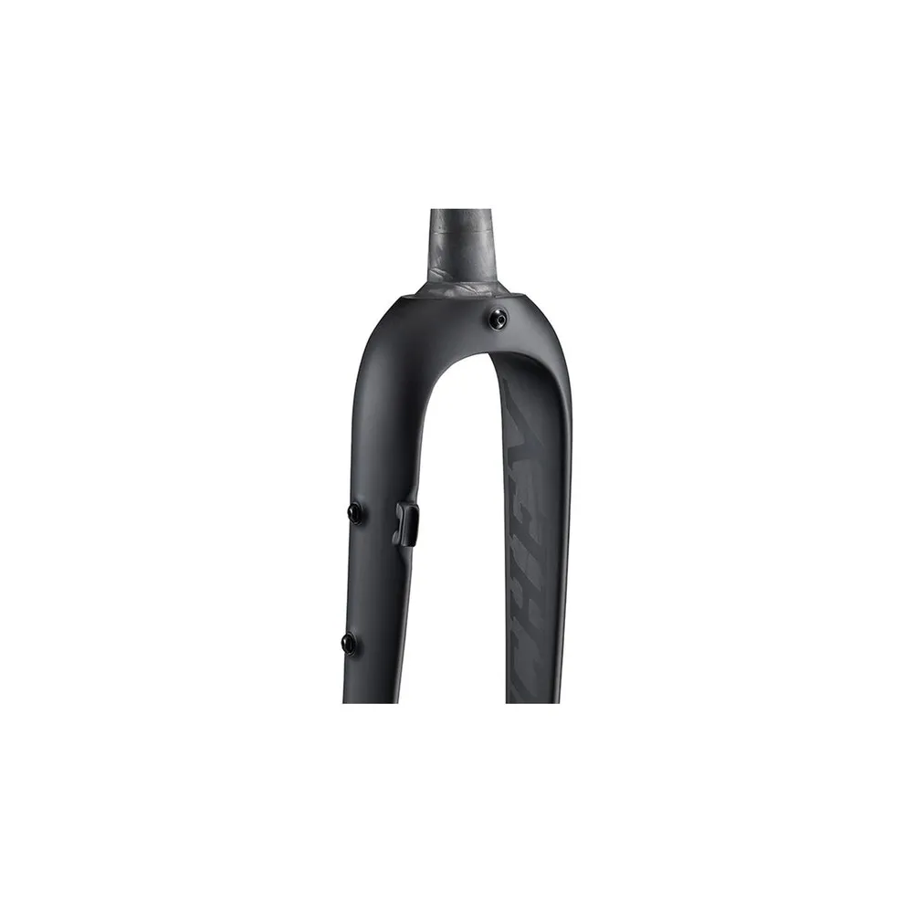Ritchey Wcs Carbon Tapered Adventure 12x100 Mm Straßengabel, Matte black, 28" - 700C, Rigid