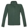 Kombu green