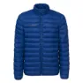 Navy peony