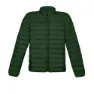 Kombu green