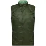 Kombu green / basil