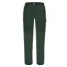 Kombu green