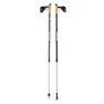 Rock Experience Nordic Walking Stöcke, Kombu green, 81-135cm