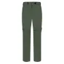 Kombu green