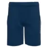 Navy peony 1
