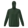 Kombu green