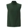 Kombu green