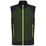 Kombu green / caviar / sulphur spring