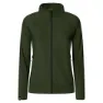 Kombu green