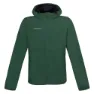 Kombu green