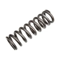 Rock Shox 450lb Stoßdämpferfeder Rock Shox 450lb Stoßdämpferfeder
