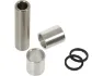 Silber