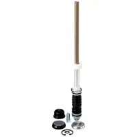 Rock Shox Gold Spring Solo Air Paragon A1 Rock Shox Gold Spring Solo Air Paragon A1