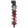 Rock Shox Vivid Coil Ultimate Dh Rc2 Reb55/comp30 Adj Hydraulic Bottom Out Standard Trunnion C1 Stoßdämpfer