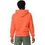 Rossignol Logo Kapuzenpullover