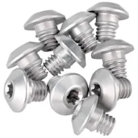 Rotor Shift System Bleeding Schraube 10 Einheiten Rotor Shift System Bleeding Schraube 10 Einheiten