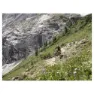 Rotwild R.x375 Fs Core 29´´ Elektrische Mountainbike, Red, M, 375Wh