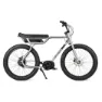 Ruff Cycles Biggie E1079 Bosch Elektrofahrrad, Delirium silver, One Size, 300Wh
