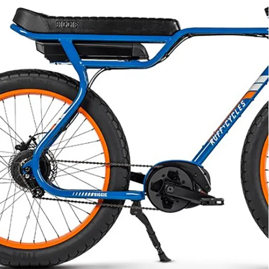 Ruff Cycles Biggie E1912 Bosch Elektrofahrrad, Paposo blue, One Size, 300Wh Ruff Cycles Biggie E1912 Bosch Elektrofahrrad, Paposo blue, One Size, 300Wh