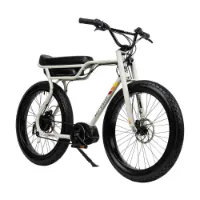 Ruff Cycles Biggie Elektrofahrrad Ruff Cycles Biggie Elektrofahrrad
