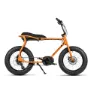 Ruff Cycles Lil Buddy E1972 Bosch Pl Cx Elektrofahrrad, Tango orange, One Size, 500Wh