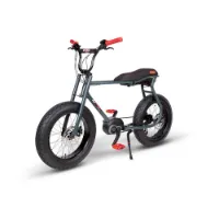 Ruff Cycles Lil Buddy Elektrofahrrad Ruff Cycles Lil Buddy Elektrofahrrad